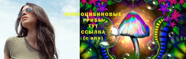 винт Наволоки