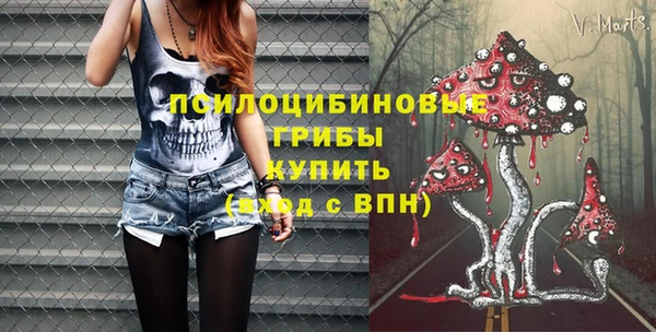 винт Наволоки