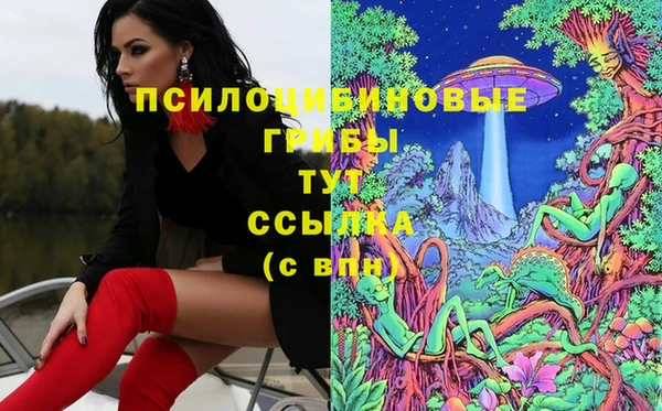 винт Наволоки