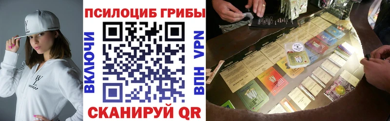 Галлюциногенные грибы Psilocybe  Купить закладки  Назарово 